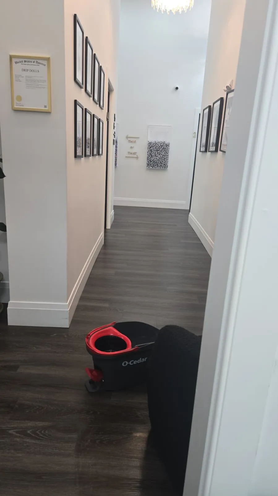 Floor after construction dust removal