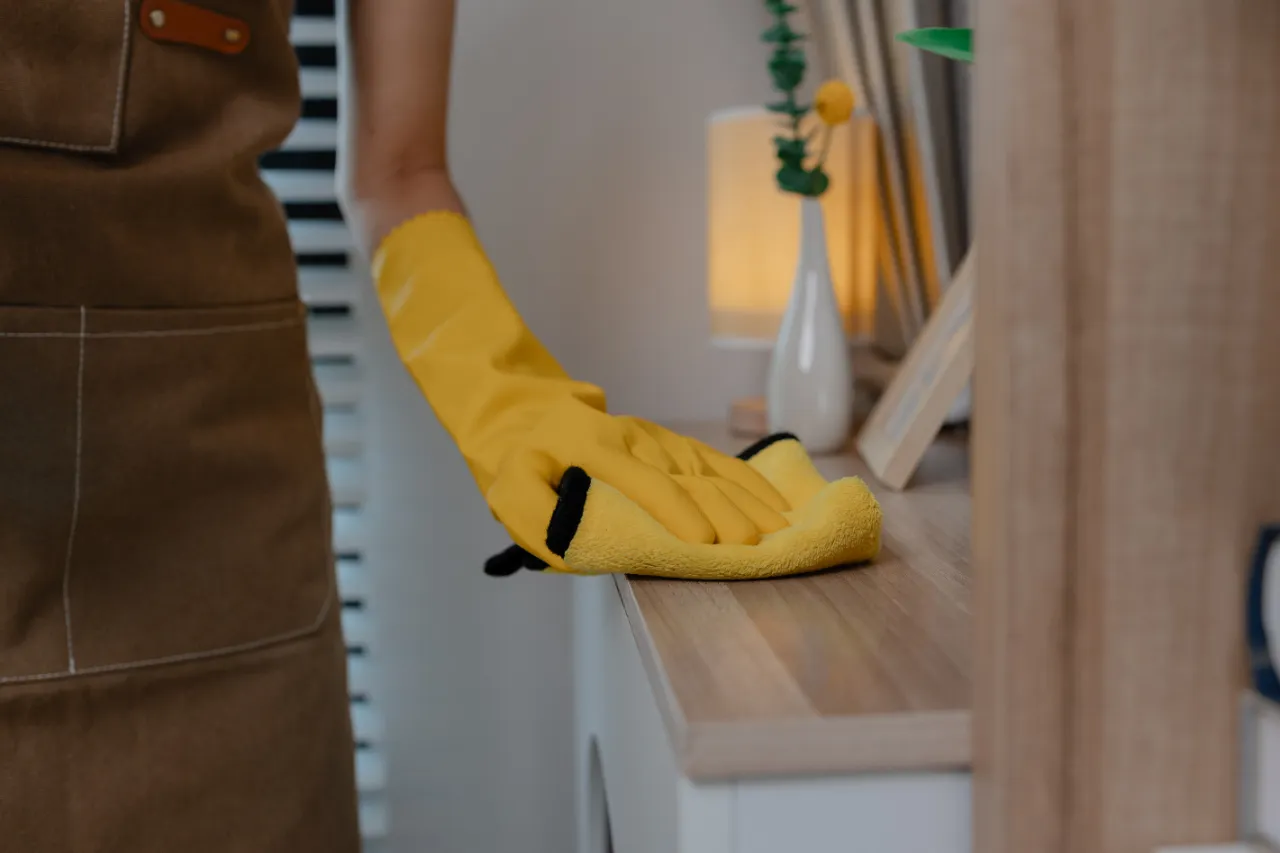 Sarahs Luxe Clean detailed cleaning service in New Jersey